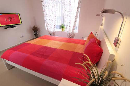 Stay Nexus Galaxy Center Room Type - Small Double Room