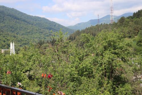 Dilijan Garden House