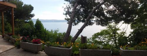 Apartments Garac - image 5