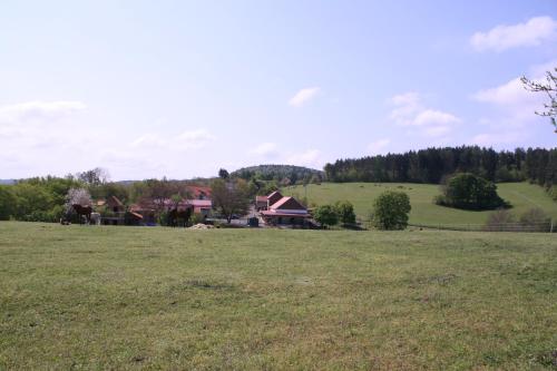 Statek Malčany - image 9
