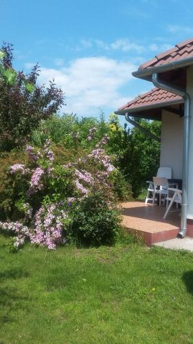 Apartment in Cserkeszőlő 