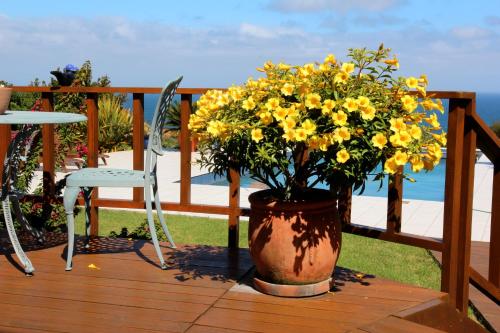 Balcony/terrace, Cintsa Lodge in Amatola Coastal