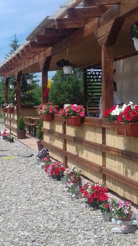 Pensiunea Maya - image 14