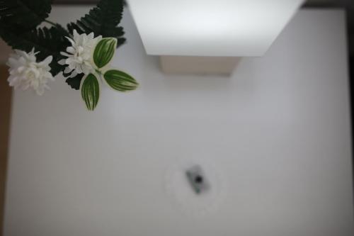 Apartaments Claudia - image 9
