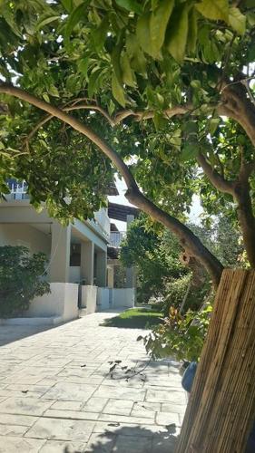 Villa Miranda - Photo 3