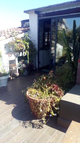  Creative Apartment in Catania