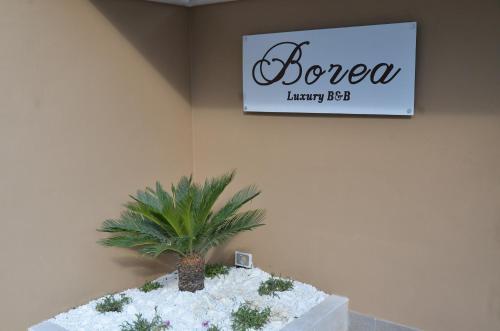 Borea Luxury B&B - image 13