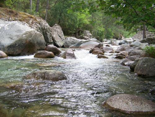 บริการและสิ่งอำนวยความสะดวก, Vanina Park in คอร์เต