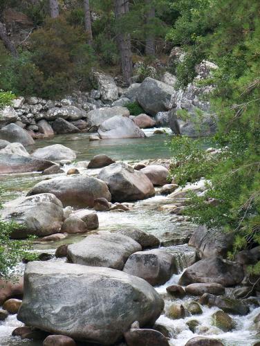 บริการและสิ่งอำนวยความสะดวก, Vanina Park in คอร์เต