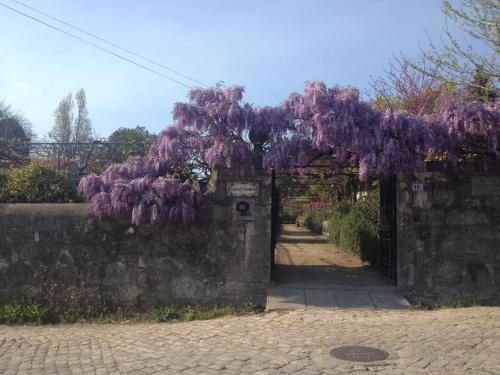  Casa Santa Filomena in Viana do Castelo