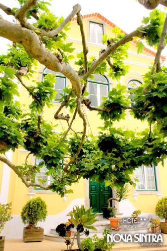Hotel Nova Sintra - image 13