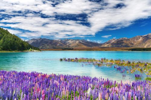 Alpine Views Burkes Pass in เบิร์กส์พาส