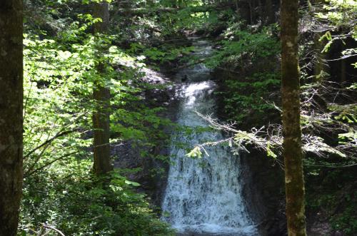 Pihtoviy Bor Hotel - image 2