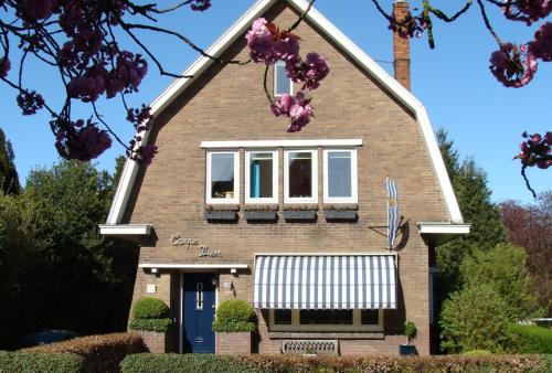 B&B Hulst - B&B Carpe Diem - Bed and Breakfast Hulst