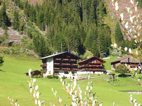Pension Ledererhof - image 5