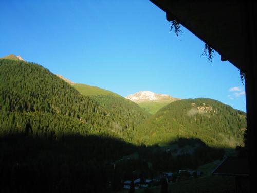 Ledererhof Apartments