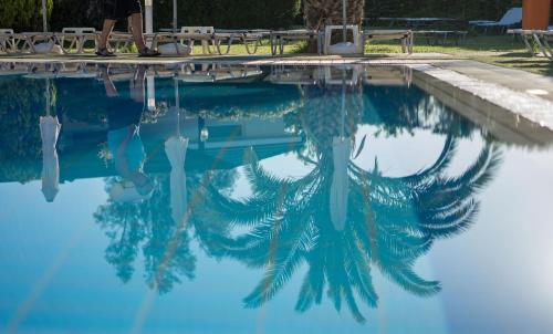 Aloe Hotel, Paphos, Cyprus. Rates from EUR39