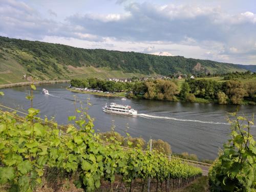 Ferienwohnung "Zum Klosterruinenblick"