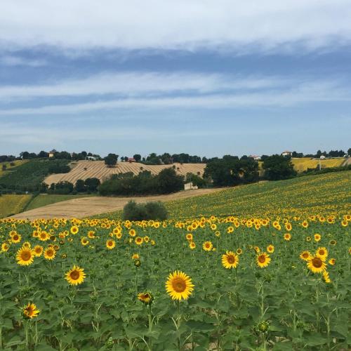 Montenovo Country House