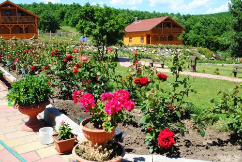 Double or Twin Room with Bathroom