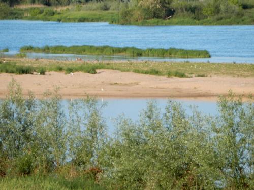 ENTRE LOIRE ET CHER Gîte "Le Nid Douillet"