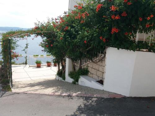 Apartments Jakovic