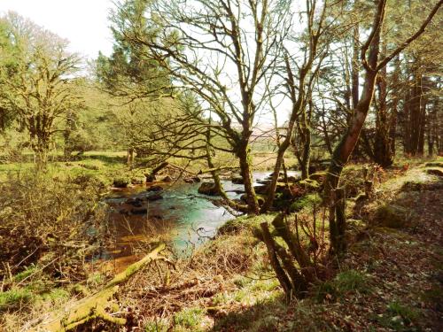 Overcombe House - image 6