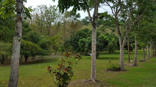 Jardín, Mahogany Villas in Forest Home