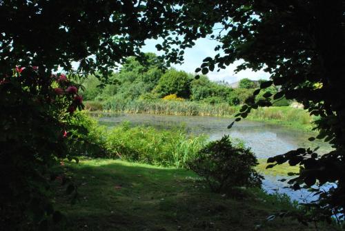Lakeview Cottage - image 2