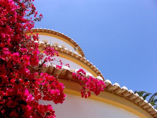 Hotel Casabela - image 3