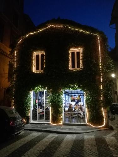 Monti Garden 4