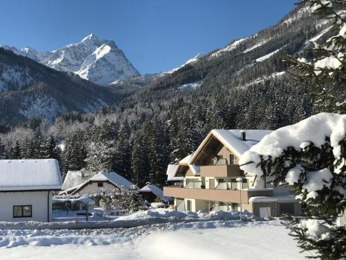 Urlaubsapartments Pfleger in Hinterstoder, Österreich