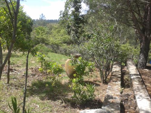 Quinta Das Lameirinhas