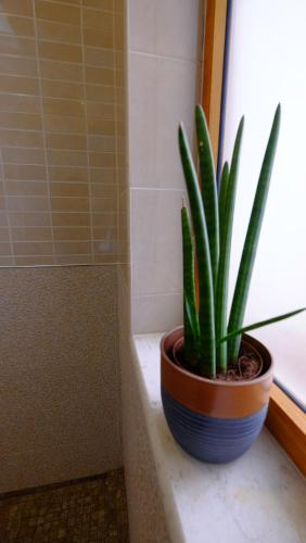 Galeria Apartment - image 3