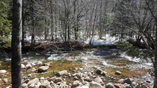 Franconia Notch Motel