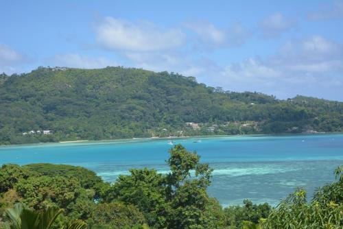 بيت الضيافة مانفيو بيت الضيافة مانفيو