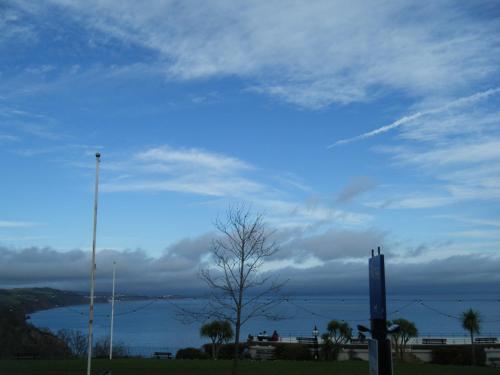 Babbacombe Royal Hotel and Carvery - image 5