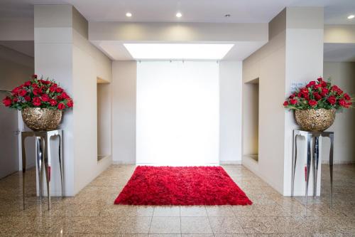 Hotel de Ilhavo Plaza & Spa - image 7