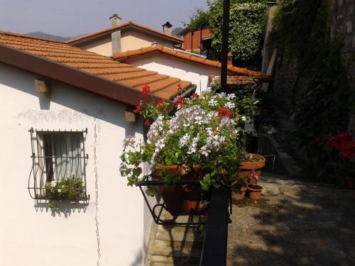 Ieeja, B&B I Glicini in Avegno