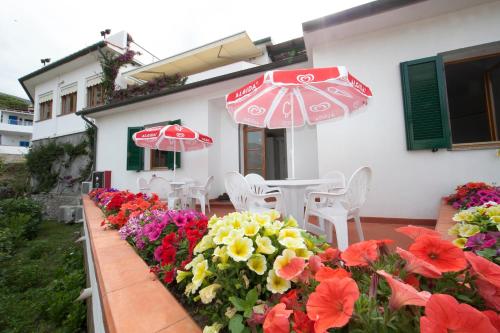 Hotel Aurora - image 12