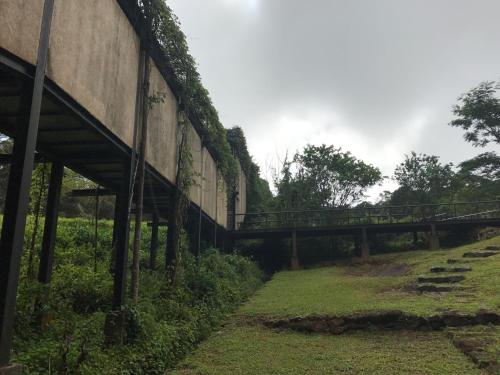 The Rainforest Ecolodge - Sinharaja