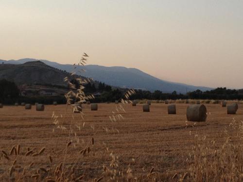 Agriturismo La Casa Di Botro