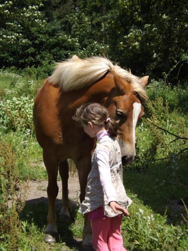 Studniska Horse Centrum