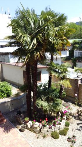 Holiday home KhostaPalm - image 6