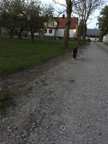 Silte Siglajvs 147 - image 3