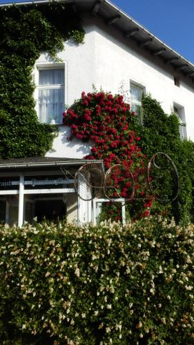 Baltisches Haus Pension Moll - main image