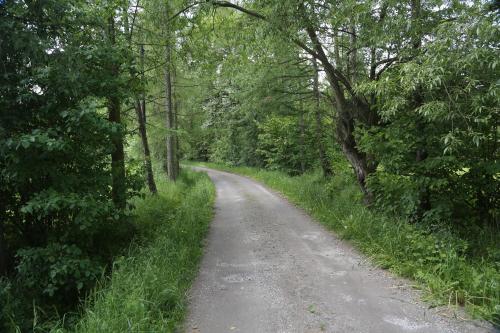 Gospodarstwo Agroturystyczne Stary Młyn Wilczkowice - Accommodation - Michałowice