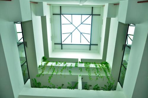 天鹅花园酒店 天鹅花园酒店