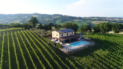  Villa le Vigne, Pension in Loro Piceno bei SantʼAngelo in Pontano