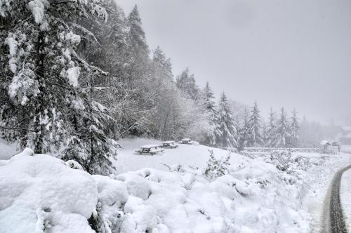 Appartamenti Tortorella